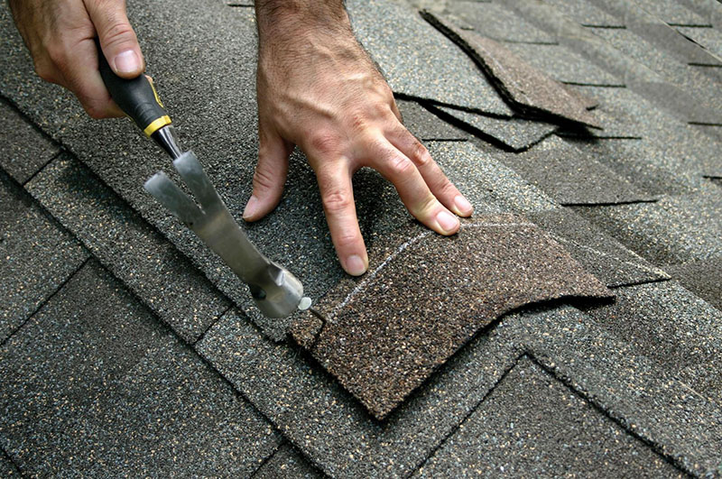 Shingle Roof Installation Pickering